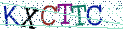 Type the letters shown in the picture