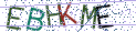 Type the letters shown in the picture
