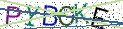 Type the letters shown in the picture