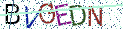Type the letters shown in the picture