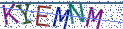 Type the letters shown in the picture
