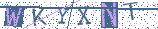 Type the letters shown in the picture