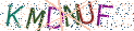Type the letters shown in the picture