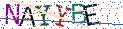 Type the letters shown in the picture