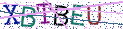 Type the letters shown in the picture