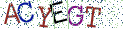 Type the letters shown in the picture