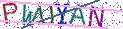Type the letters shown in the picture