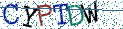 Type the letters shown in the picture