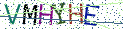 Type the letters shown in the picture