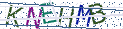 Type the letters shown in the picture