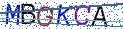 Type the letters shown in the picture