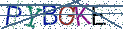 Type the letters shown in the picture