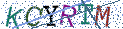 Type the letters shown in the picture