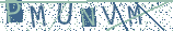 Type the letters shown in the picture