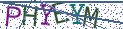 Type the letters shown in the picture