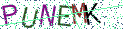 Type the letters shown in the picture
