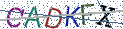 Type the letters shown in the picture