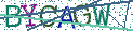 Type the letters shown in the picture