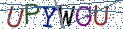 Type the letters shown in the picture