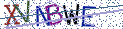 Type the letters shown in the picture