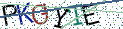 Type the letters shown in the picture