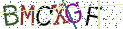 Type the letters shown in the picture