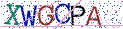 Type the letters shown in the picture