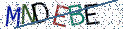 Type the letters shown in the picture