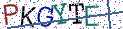 Type the letters shown in the picture
