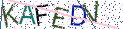Type the letters shown in the picture