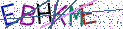 Type the letters shown in the picture