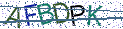 Type the letters shown in the picture