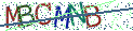 Type the letters shown in the picture