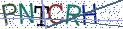 Type the letters shown in the picture