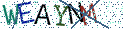 Type the letters shown in the picture