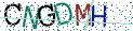 Type the letters shown in the picture