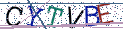Type the letters shown in the picture