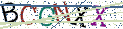 Type the letters shown in the picture