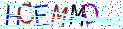Type the letters shown in the picture