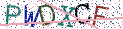 Type the letters shown in the picture