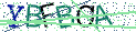 Type the letters shown in the picture