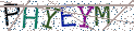 Type the letters shown in the picture