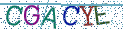Type the letters shown in the picture