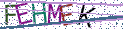 Type the letters shown in the picture