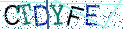 Type the letters shown in the picture