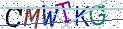 Type the letters shown in the picture