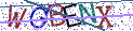 Type the letters shown in the picture