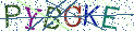 Type the letters shown in the picture