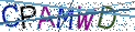 Type the letters shown in the picture