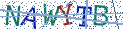 Type the letters shown in the picture